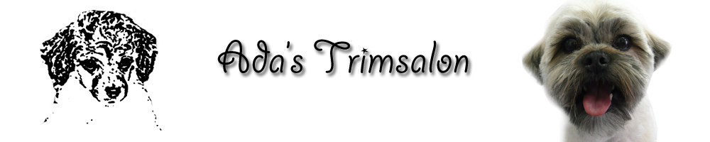 logo_trimsalon